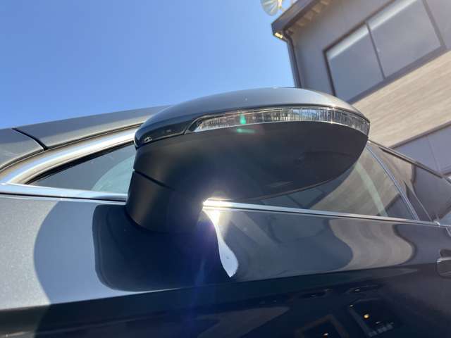 フォルクスワーゲン パサートヴァリアント ＴＳＩ　エレガンス　アドバンス R4年 (東海) 99