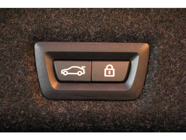 ＢＭＷ ５シリーズ ５２３Ｄ Ｘドライブ Ｍスポーツ エディション ジョイプラス ディーゼルターボ ４ＷＤ R3年 (関東) 99