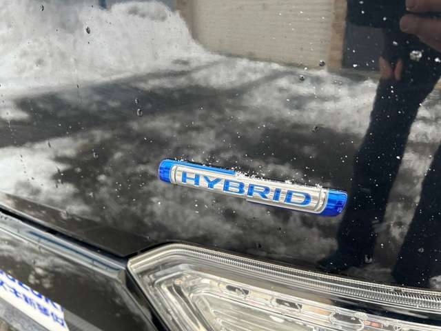 スズキ ワゴンＲ ６６０ スティングレー ハイブリッド Ｘ ４ＷＤ H30年 (北海道) 99