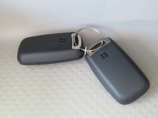 ダイハツ タント ６６０ Ｌ R6年 (東北) 99