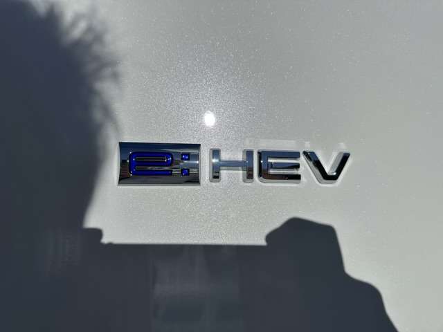 ホンダ ステップワゴン　ハイブリッド ２．０ Ｅ：ＨＥＶ スパーダ R6年 (東海) 99