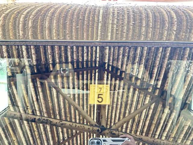 スズキ エブリイ ６６０ ジョイン ハイルーフ ４ＷＤ R5年 (東海) 99