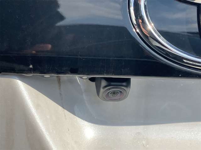 トヨタ ライズ １．２ Ｇ R5年 (東海) 99