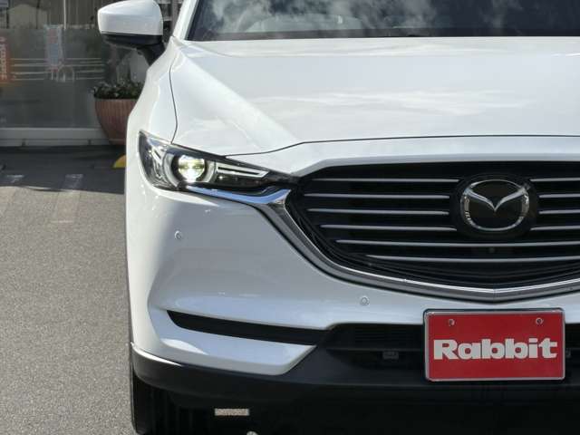 マツダ ＣＸ−８ ２．５ ２５Ｓ プロアクティブ R1年 (中国) 99