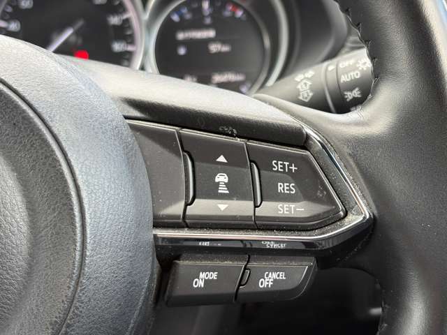 マツダ ＣＸ−８ ２．５ ２５Ｓ プロアクティブ R1年 (中国) 99