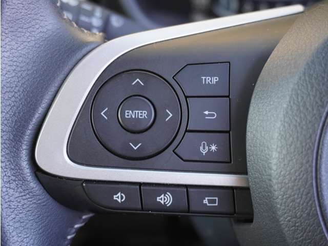 ダイハツ ロッキー １．０ プレミアム R3年 (九州・沖縄) 99