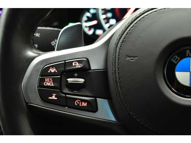 ＢＭＷ ５シリーズ ５３０ｉ　Ｍスポーツ H30年 (関東) 99