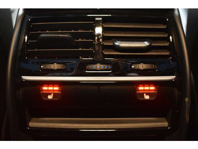 ＢＭＷ ５シリーズ ５３０ｉ　Ｍスポーツ H30年 (関東) 99