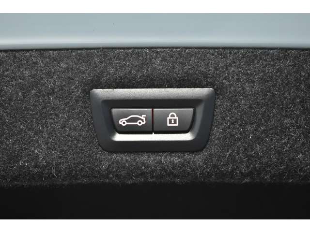 ＢＭＷ ５シリーズ ５３０ｉ　Ｍスポーツ H30年 (関東) 99