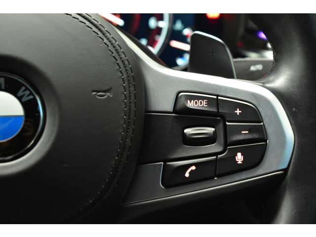 ＢＭＷ ５シリーズ ５３０ｉ　Ｍスポーツ H30年 (関東) 99