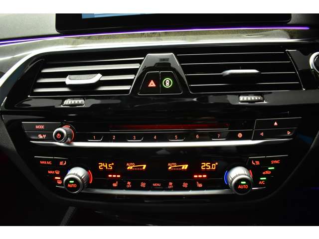 ＢＭＷ ５シリーズ ５３０ｉ　Ｍスポーツ H30年 (関東) 99