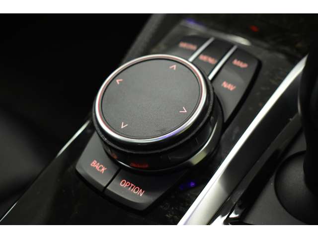 ＢＭＷ ５シリーズ ５３０ｉ　Ｍスポーツ H30年 (関東) 99