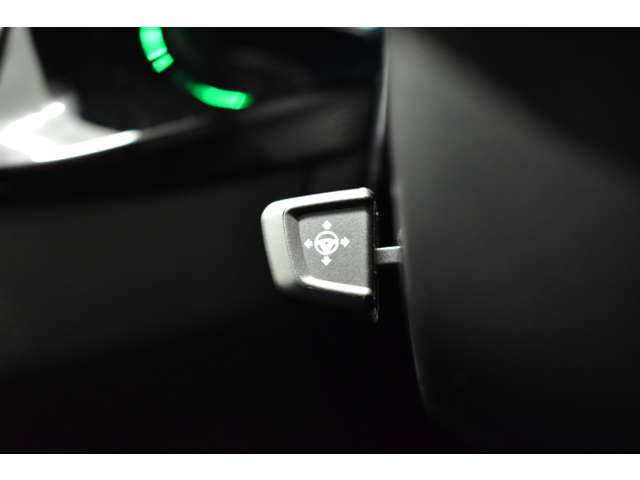 ＢＭＷ ５シリーズ ５３０ｉ　Ｍスポーツ H30年 (関東) 99