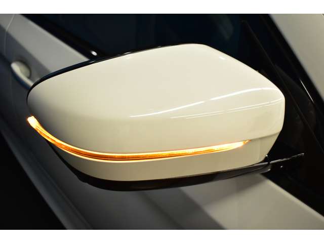 ＢＭＷ ５シリーズ ５３０ｉ　Ｍスポーツ H30年 (関東) 99