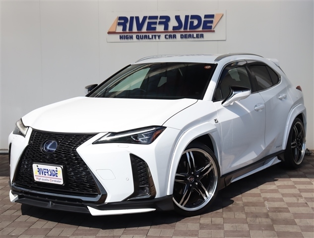 レクサス ＵＸ２５０ｈ Ｆスポーツ R2年 (関東) 99