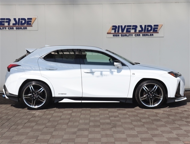 レクサス ＵＸ２５０ｈ Ｆスポーツ R2年 (関東) 99