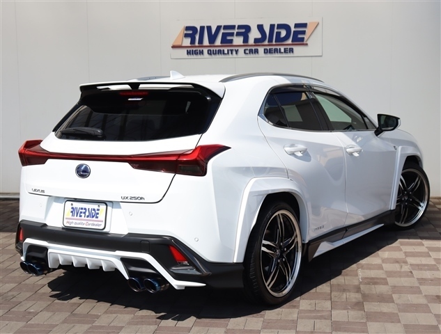 レクサス ＵＸ２５０ｈ Ｆスポーツ R2年 (関東) 99