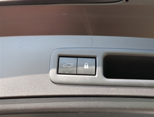 レクサス ＵＸ２５０ｈ Ｆスポーツ R2年 (関東) 99