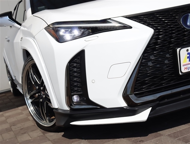 レクサス ＵＸ２５０ｈ Ｆスポーツ R2年 (関東) 99