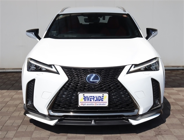 レクサス ＵＸ２５０ｈ Ｆスポーツ R2年 (関東) 99