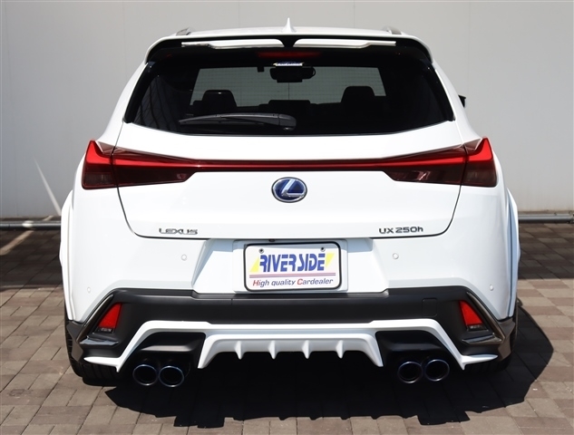 レクサス ＵＸ２５０ｈ Ｆスポーツ R2年 (関東) 99