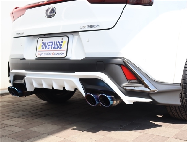 レクサス ＵＸ２５０ｈ Ｆスポーツ R2年 (関東) 99