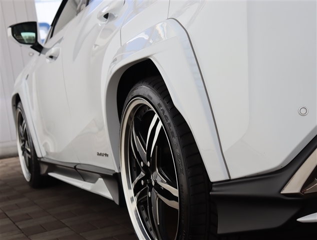 レクサス ＵＸ２５０ｈ Ｆスポーツ R2年 (関東) 99