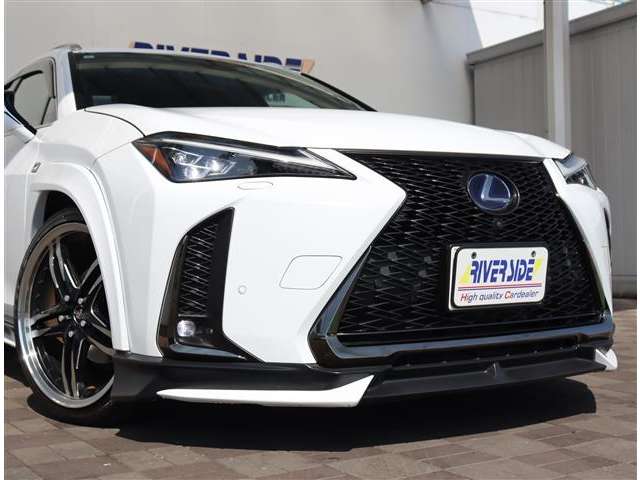 レクサス ＵＸ２５０ｈ Ｆスポーツ R2年 (関東) 99