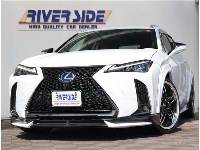 レクサス ＵＸ２５０ｈ Ｆスポーツ R2年 (関東) 99