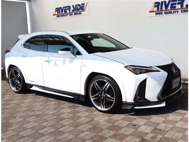 レクサス ＵＸ２５０ｈ Ｆスポーツ R2年 (関東) 99