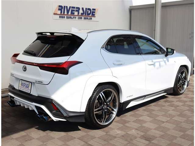 レクサス ＵＸ２５０ｈ Ｆスポーツ R2年 (関東) 99