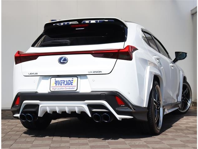 レクサス ＵＸ２５０ｈ Ｆスポーツ R2年 (関東) 99