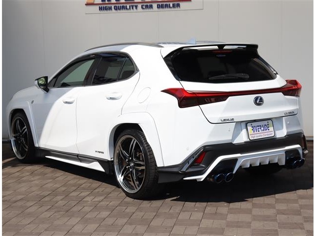 レクサス ＵＸ２５０ｈ Ｆスポーツ R2年 (関東) 99