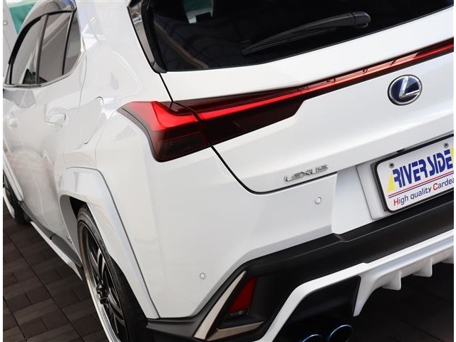 レクサス ＵＸ２５０ｈ Ｆスポーツ R2年 (関東) 99