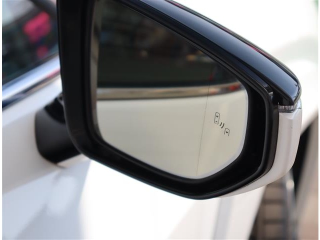 レクサス ＵＸ２５０ｈ Ｆスポーツ R2年 (関東) 99