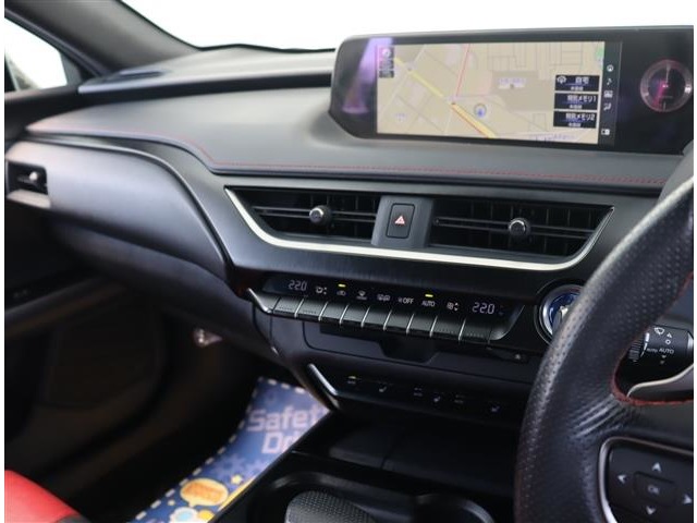 レクサス ＵＸ２５０ｈ Ｆスポーツ R2年 (関東) 99