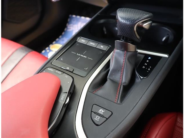 レクサス ＵＸ２５０ｈ Ｆスポーツ R2年 (関東) 99