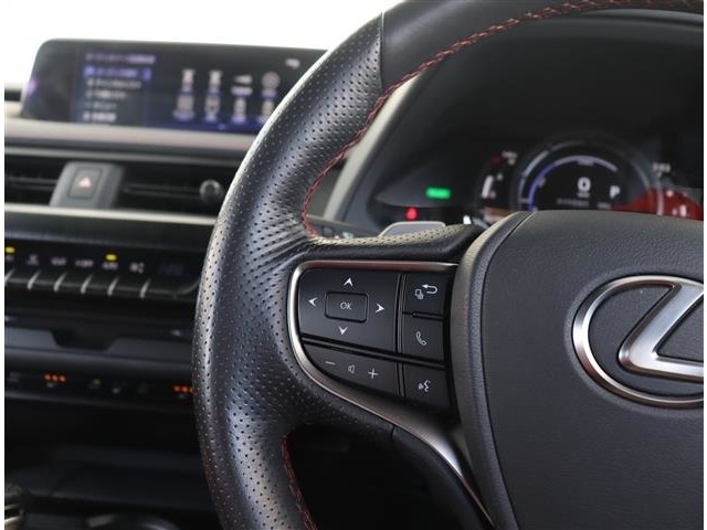 レクサス ＵＸ２５０ｈ Ｆスポーツ R2年 (関東) 99