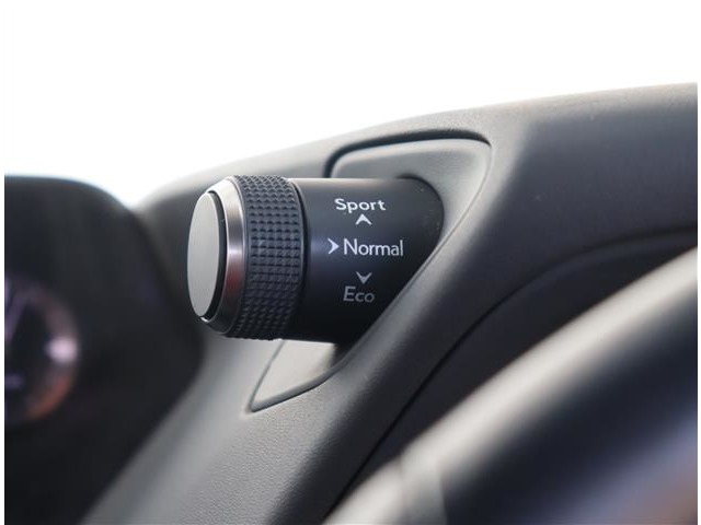 レクサス ＵＸ２５０ｈ Ｆスポーツ R2年 (関東) 99