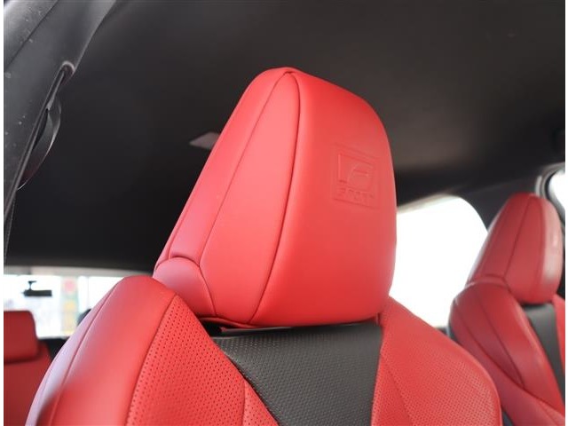 レクサス ＵＸ２５０ｈ Ｆスポーツ R2年 (関東) 99