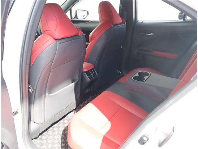 レクサス ＵＸ２５０ｈ Ｆスポーツ R2年 (関東) 99