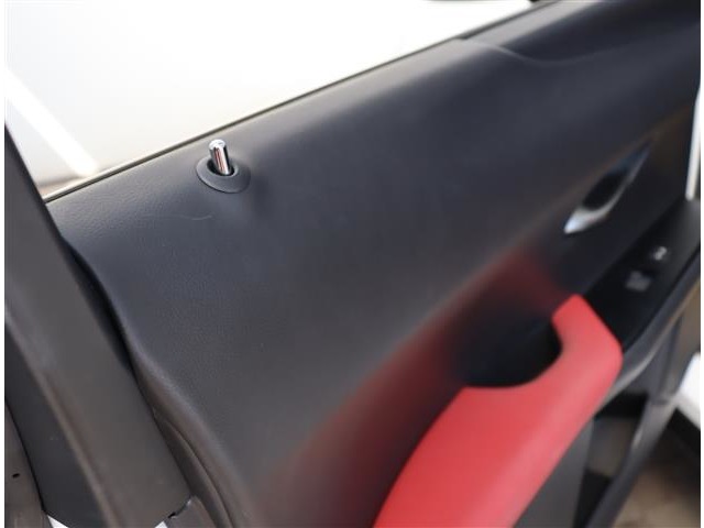 レクサス ＵＸ２５０ｈ Ｆスポーツ R2年 (関東) 99