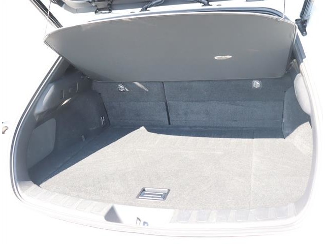 レクサス ＵＸ２５０ｈ Ｆスポーツ R2年 (関東) 99