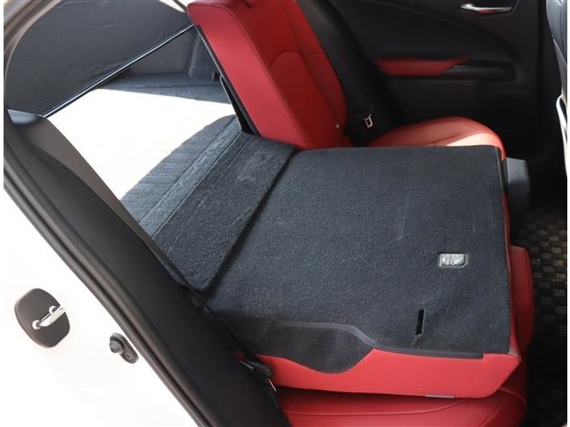 レクサス ＵＸ２５０ｈ Ｆスポーツ R2年 (関東) 99