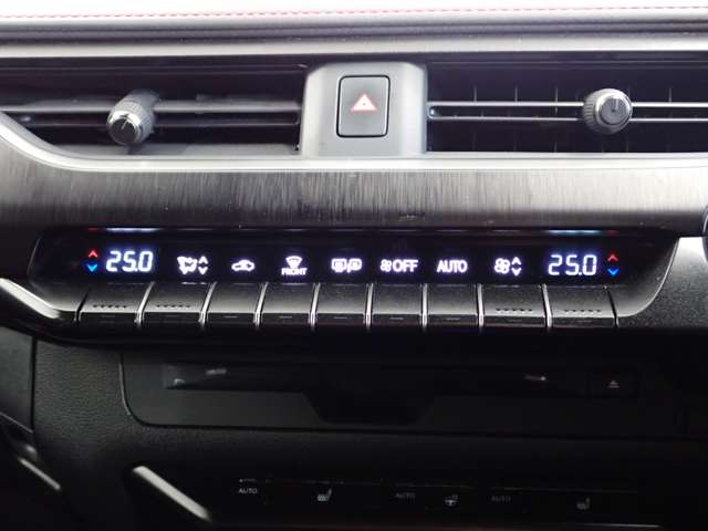 レクサス ＵＸ２５０ｈ ２５０Ｈ Ｆスポーツ ４ＷＤ R2年 (関東) 99