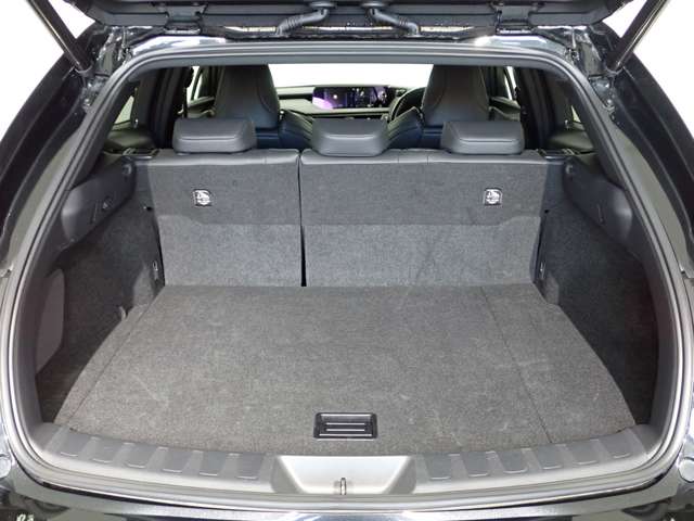 レクサス ＵＸ２５０ｈ ２５０Ｈ Ｆスポーツ ４ＷＤ R2年 (関東) 99