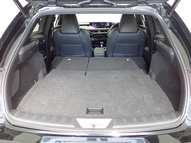 レクサス ＵＸ２５０ｈ ２５０Ｈ Ｆスポーツ ４ＷＤ R2年 (関東) 99