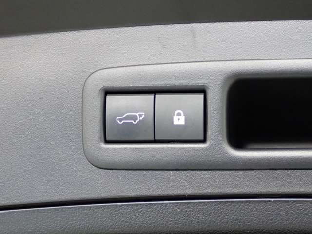 レクサス ＵＸ２５０ｈ ２５０Ｈ Ｆスポーツ ４ＷＤ R2年 (関東) 99