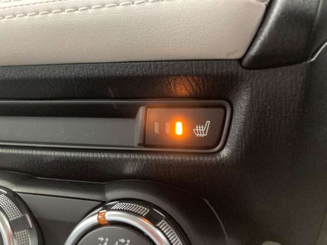 マツダ デミオ １．５ ＸＤ ツーリング Ｌパッケージ ディーゼルターボ ４ＷＤ H29年 (北海道) 99