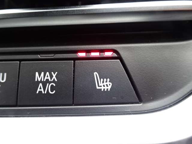 ＢＭＷ ３シリーズ ３２０Ｄ Ｘドライブ Ｍスポーツ ディーゼルターボ ４ＷＤ R1年 (近畿) 99